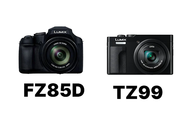 Canon PowerShot SX740 HSとPanasonic LUMIX DC-TZ99を徹底比較！960mm